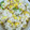 ひぃちゃんひー's cooksnap of when they made ＊トウモロコシと枝豆の炊き込みご飯＊.