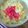 keroko27's cooksnap of when they made 風邪ひきさんに♪鶏卵うどん♪.