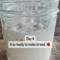 nozunao's cooksnap of when they made 自家製酵母でパンの元種(中種)作り.