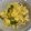 ピーナッツ子♪'s cooksnap of when they made 仲良し親子丼.