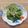 コムギ大好き's cooksnap of when they made ほうれん草のおひたし.
