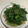 papikun's cooksnap of when they made おにぎりに◎簡単・失敗なし！大根葉の漬物.