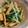 あきこ２１２'s cooksnap of when they made 簡単☆もう一品！油揚げと水菜の煮浸し.