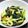 クックWNMUT7☆'s cooksnap of when they made 小松菜の浅漬け わさび風味.