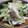 じんとっと's cooksnap of when they made ♡ささみと胡瓜の冷ややっこ♡.