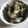 きらり流れ星's cooksnap of when they made きゃべつと海苔の佃煮和え.
