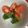 くうandホームズ's cooksnap of when they made 鮭ちゃんちゃん焼き，ひじき、トマトバジル.
