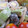 紅葉ｙ's cooksnap of when they made きのことアボカドのオイマヨ炒め.