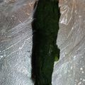 花音's cooksnap of when they made 大葉の冷凍保存.