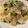 クックA23Z8F☆'s cooksnap of when they made 【夏バテ予防】あさりと豆苗のスパゲッティ.