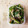 クックQT23CK☆'s cooksnap of when they made 簡単★胡瓜とみょうがの浅漬け.