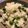 えるみちゃん's cooksnap of when they made まめ味全開＊鮮やかふっくらピースごはん.