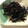 marukocook's cooksnap of when they made 超簡単♬ ひじきの佃煮.