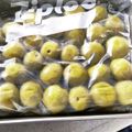 ともこキッチン's cooksnap of when they made 青梅のカリカリ漬け.