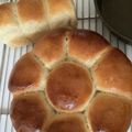 クックID559G☆'s cooksnap of when they made 全粒粉入りちぎりパン.
