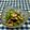 クックWZ3WQY☆'s cooksnap of when they made 茄子と鯖缶のさっぱりサラダ.
