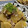 Eine♪Katze's cooksnap of when they made 簡単☆豚こま大根.