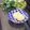 からあげパーティー's cooksnap of when they made すごくおいしい！ノスタルジッククッキー.