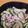 ｅｋ４'s cooksnap of when they made ゴーヤとベーコンのマヨ醤油炒め.