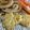 手抜きクック's cooksnap of when they made ごはんに合う！新玉ねぎのしょうが焼き.