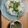 くうandホームズ's cooksnap of when they made 安城のそうめん.