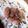 cookrabbit's cooksnap of when they made 自家製梅子びしお（梅びしお）.