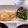 azu_shun's cooksnap of when they made 簡単！やみつき♪豆苗の塩昆布ナムル♪.