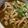 makaron_ku's cooksnap of when they made 30分で作れる残りのカレーでカレーうどん.