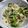 まさたかまま's cooksnap of when they made 新玉ねぎとサラダチキンの胡麻ドレ和え.