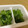 おしえてママ's cooksnap of when they made お弁当用☆冷凍小松菜の簡単お浸し.