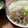 たまちゃん·ᴥ·'s cooksnap of when they made 豚ときのこの塩しょうが焼き.