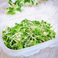 Satoco❋'s cooksnap of when they made 作り置きに★五味薬味.