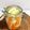 horseland's cooksnap of when they made 大根と人参の甘酢ピクルス.