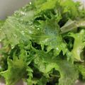 25c's cooksnap of when they made 無限青じそ~青じその大量消費に~.