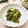 Ｅｍｉｙ's cooksnap of when they made オクラのゴマ和え♡ゴマ味噌和え♪.