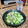 料理男子部's cooksnap of when they made きゅうりと茗荷のしらす和え.