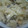 ろこりん。's cooksnap of when they made おふくろの味◎きのこの炊き込みご飯.