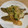 ポメちょん's cooksnap of when they made 夏バテ！ひんやり旨い！ししゃもの南蛮漬け.