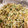 クック7A6EB3☆'s cooksnap of when they made 美味しいみょうがのしっとりふりかけ♡.