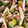 いけぽん_88's cooksnap of when they made 胡瓜とえのきの梅のさっぱり和え.