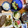 くうandホームズ's cooksnap of when they made もちとうもろこしとオージービーフステーキ.