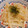 MINARIN5's cooksnap of when they made じゃがいもの千切り炒め.
