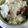 SPI2's cooksnap of when they made とり手羽元ライス.