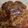 MiNt＊5's cooksnap of when they made 焼肉の下味　醤油ベース.