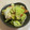 papikun's cooksnap of when they made 顆粒だしと塩の自家製浅漬け.