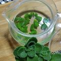 てるテル娘's cooksnap of when they made さっぱり！アロマティカスティー.