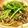 マスタードサンクス's cooksnap of when they made 豚肉と春菊の黒胡椒パスタ.