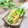 moko♪キッチン♪'s cooksnap of when they made 厚揚げの青じそ明太マヨチーズ焼き☆★.