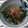 クック8SSYN0☆'s cooksnap of when they made めんつゆで簡単！小松菜のおひたし.