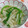 赤い電話's cooksnap of when they made 大根の皮とピーマンの塩きんぴら.